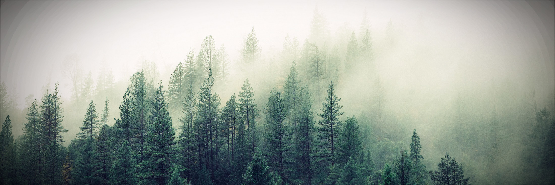 Sustainable finance